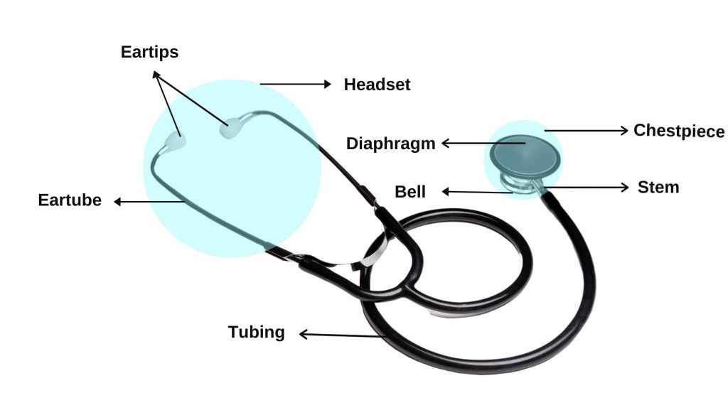 stethoscope labeled diagram